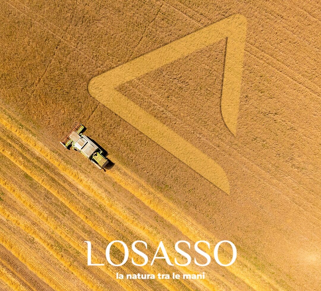 Losasso logo grafica