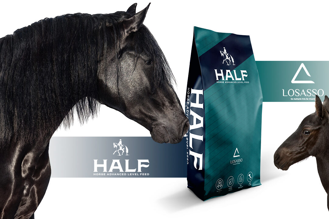 grafica pacchi cavalli