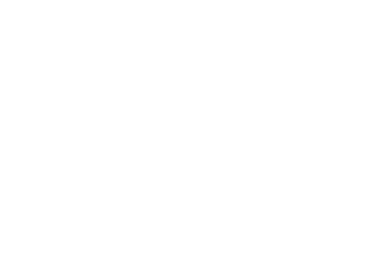 Miglionico Service Car