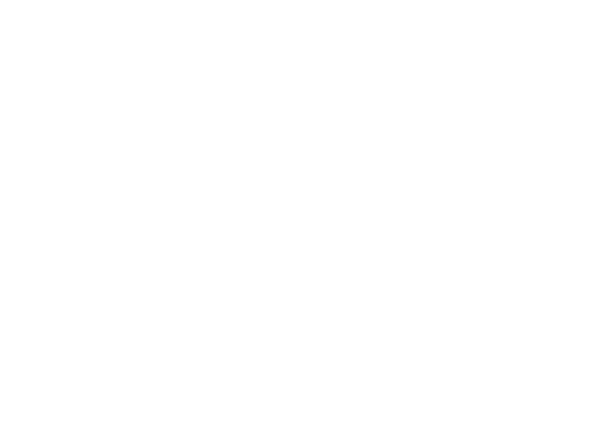 Buggy 114