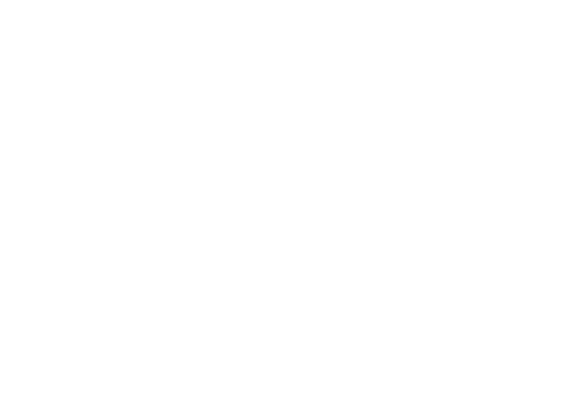 Logica Media Service